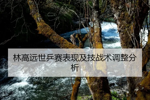 林高远世乒赛表现及技战术调整分析