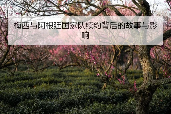 梅西与阿根廷国家队续约背后的故事与影响