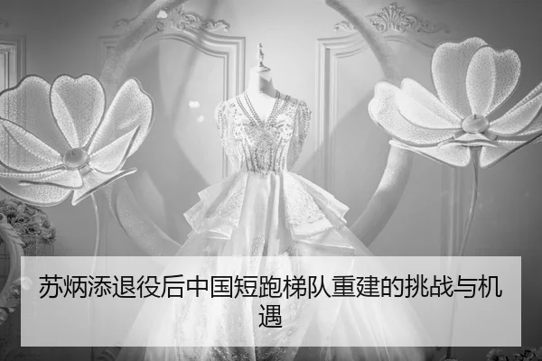 su-bing-tian-tui-yi-hou-zhong-guo-duan-pao-ti-dui-chong-jian-de-tiao-zhan-yu-ji-yu-2-993.jpg